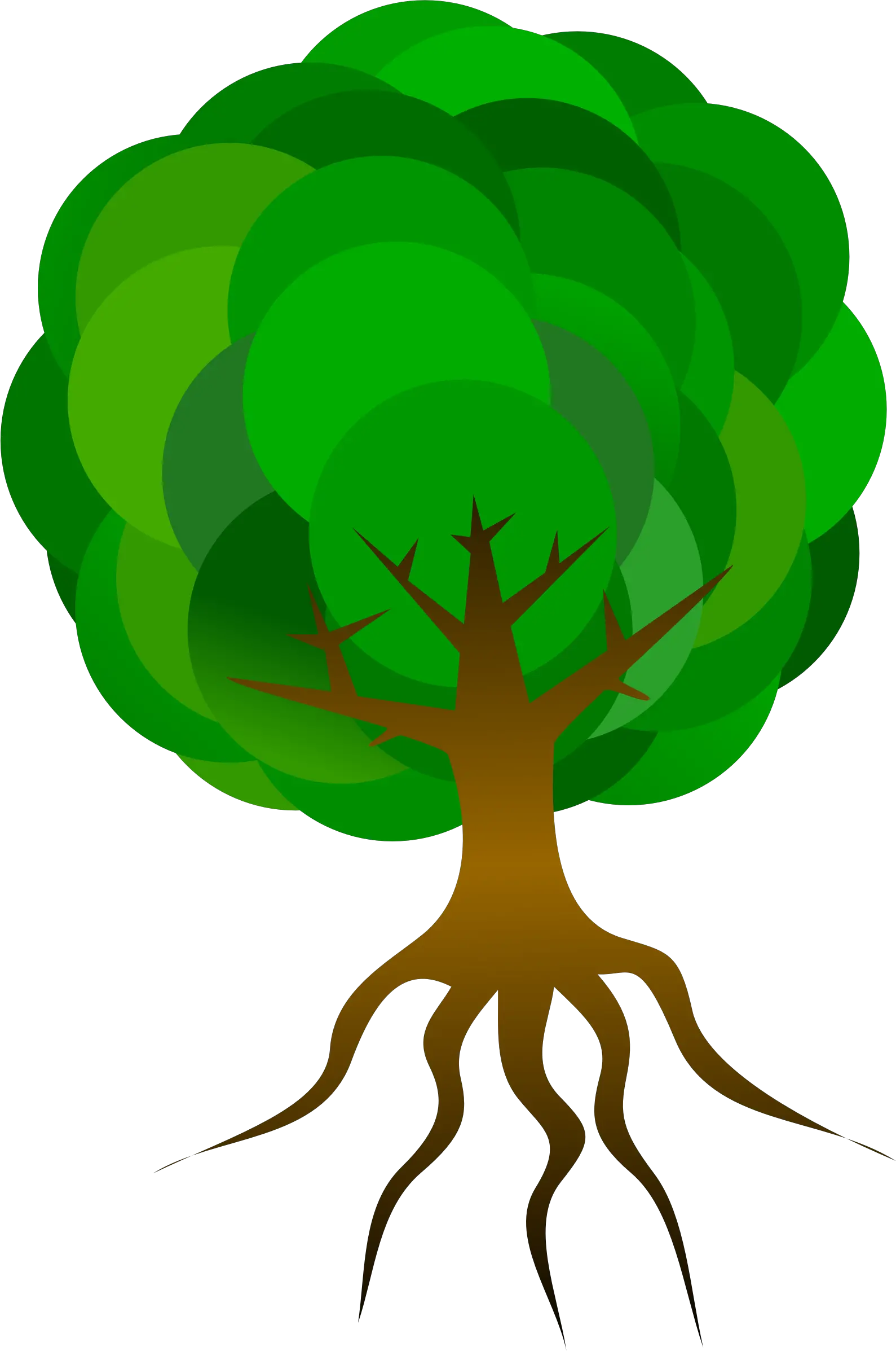  Nature Tree Branches Roots Skeleton Plant Leaves Tree With Roots Animation Png Roots Png