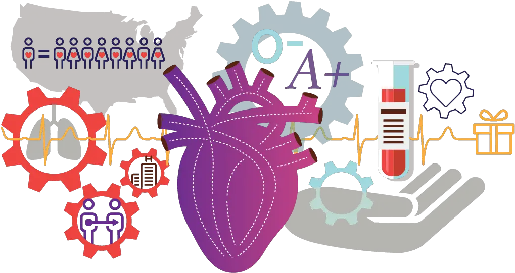  Organ Transplant Organ Donation Png Wait List Icon