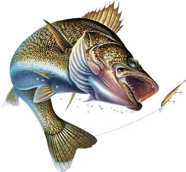  Animals For Walleye Fishing Logos Walleye Fishing Logo Png Fishing Logos