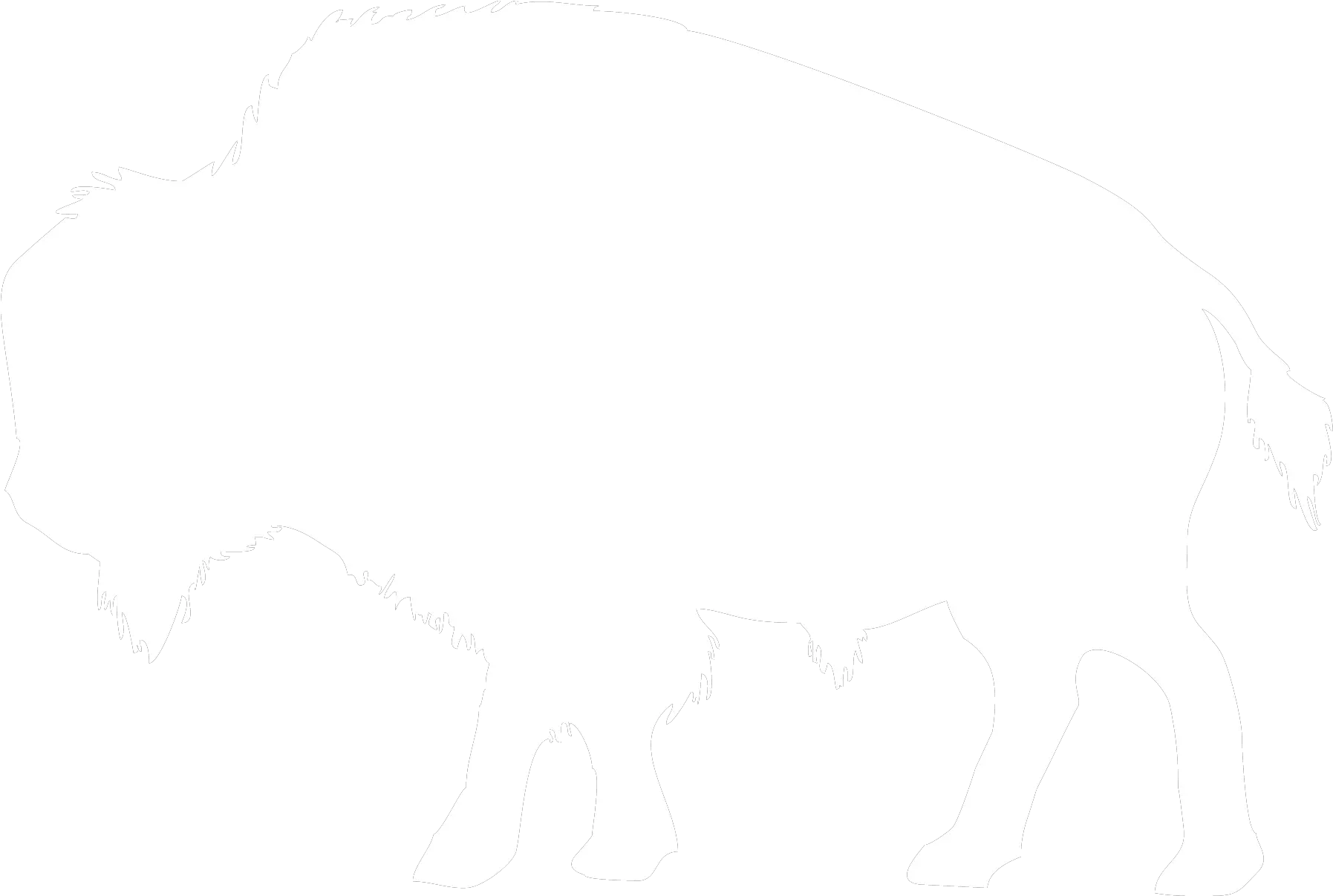  Download Hd Bison Png White Transparent Bison Black And White Outline Bison Png