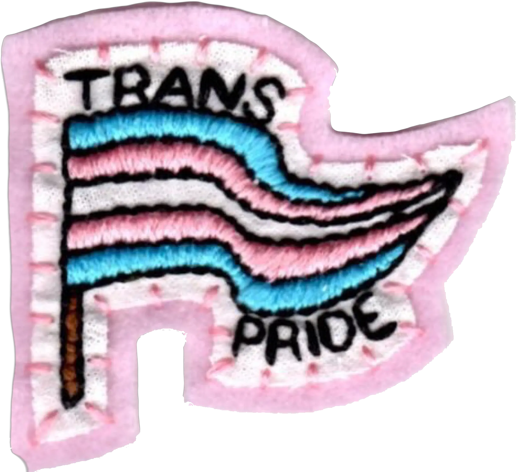  Download Hd Homem Trans Pride Aesthetic Trans Pride Flag Png Pride Flag Png