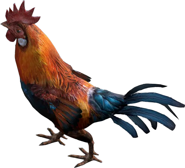  Rooster Dayz Wiki Rooster Transparent Png Rooster Png