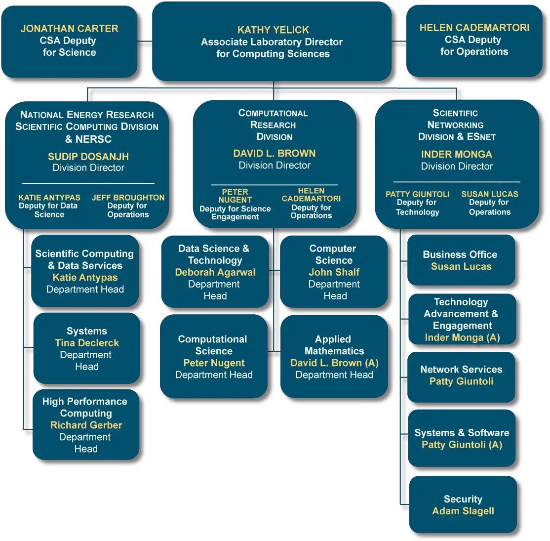  Org Charts Png Porg