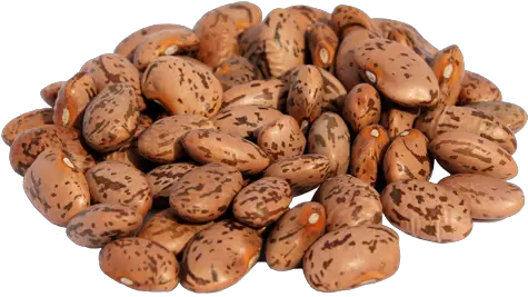  Png Transparent Dry Beans Pinto Beans Transparent Background Beans Png