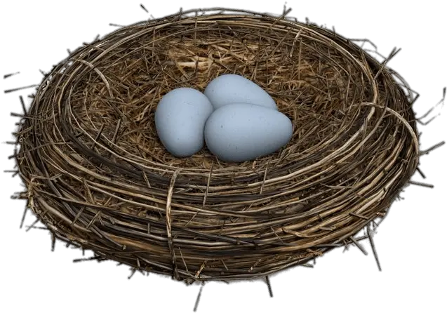  Eggs In Bird Nest Transparent Png Bird Nest Transparent Background Nest Png