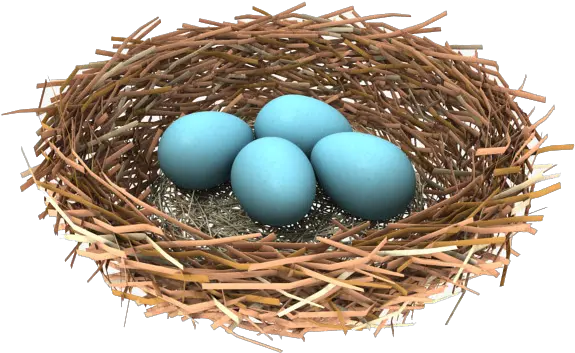  Download Free Png Nest Bird Nest Transparent Background Nest Png