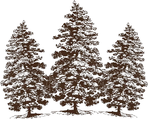  Cropped Cotticopng Cottagevloeren Pine Tree Clip Art Pine Branch Png