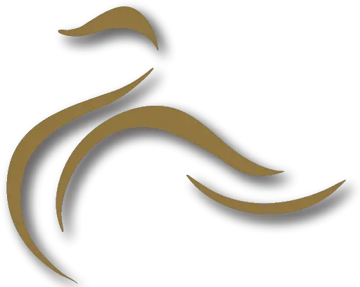  Contact Us Golden Swan Logo Png Swan Logo