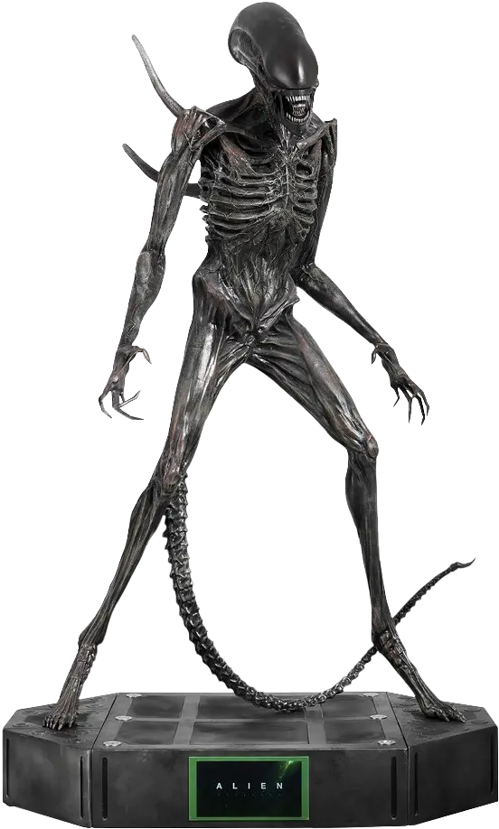  1 Scale Antioquia La Mas Educada Png Xenomorph Png