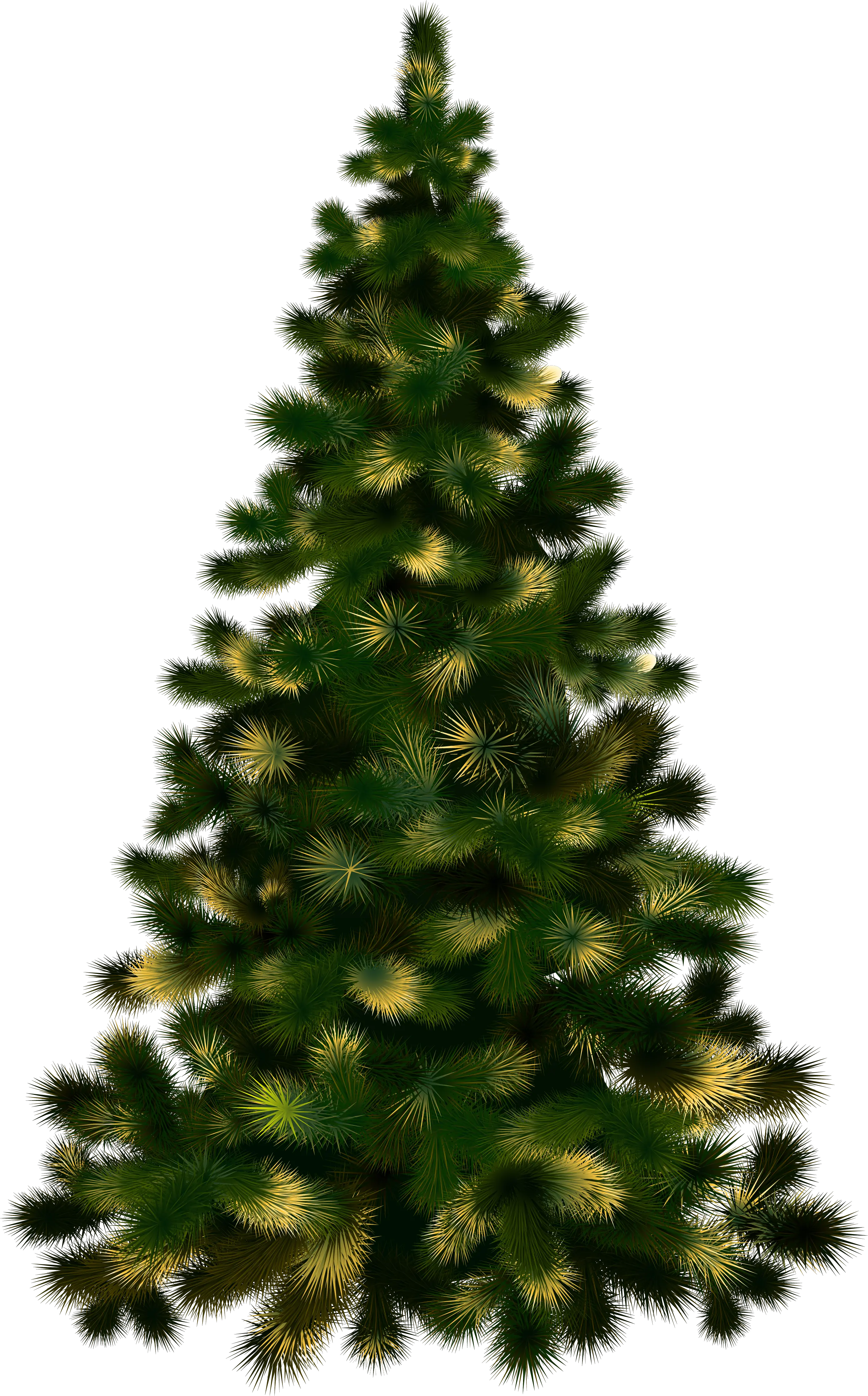  Christmas Tree Without Lights Png Image Purepng Free Christmas Tree Real Png Lights Transparent Background