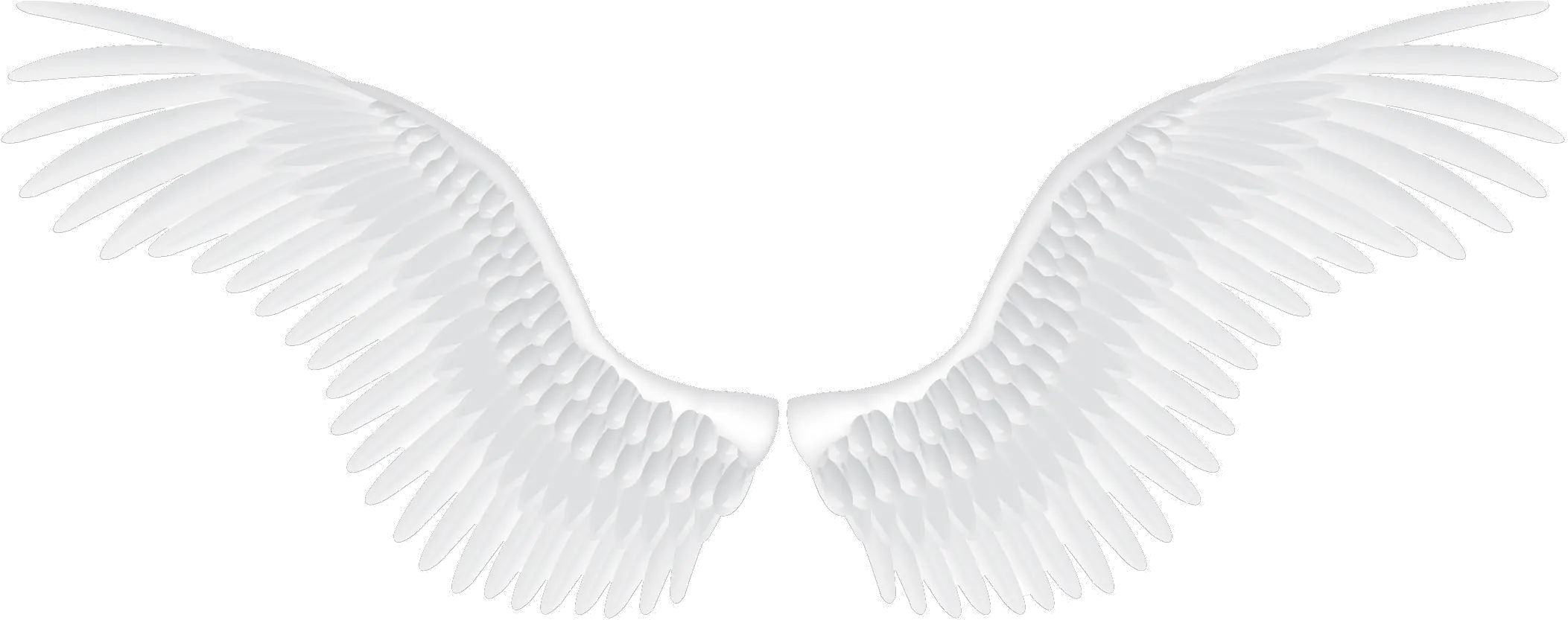  Download White Wings Png Image For Free White Angel Wings Png Wing Png