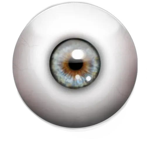  Eyeball Study Jimiu0027s Portfolio Circle Png Eye Ball Png