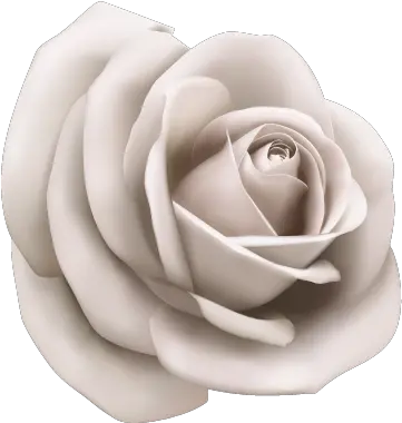  Paper Illustration Vector White Rose Png Paper Flower Png