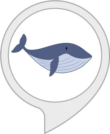  Amazoncom Interesting Blue Whale Facts Alexa Skills Cartoon Blue Whale For Kids Png Blue Whale Png