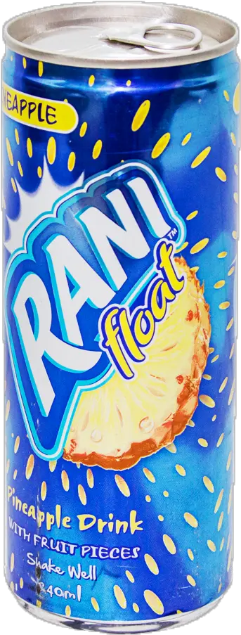  Rani Drink Pineapple Juice 240 Ml Rani Drink Png Drink Png