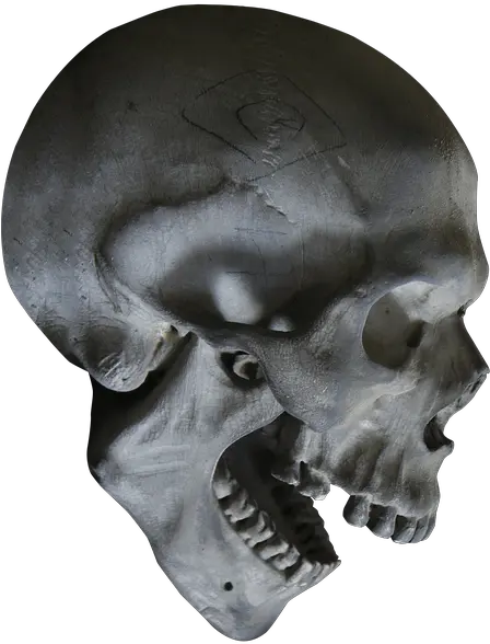  Halloween Skull Skeleton Head Skeleton Head Png Skeleton Head Png