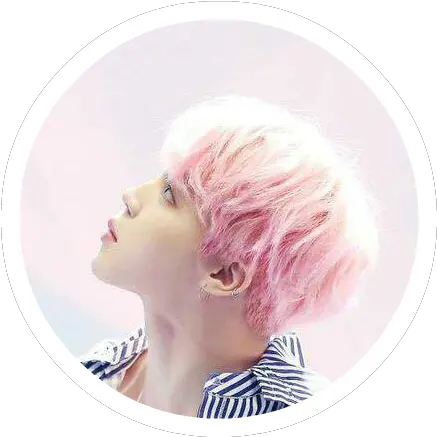  Image Result For Bts Jimin Circle Pink Pink Jimin Fanart Png Jimin Circle Icon