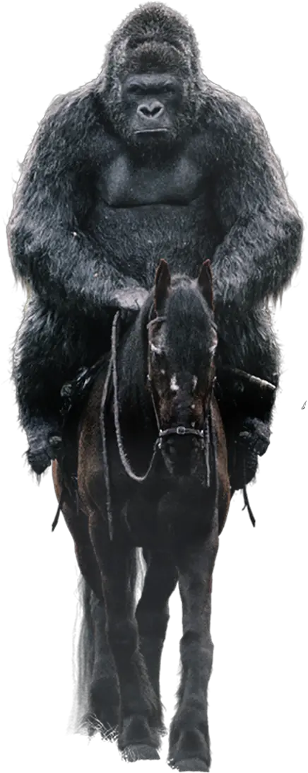  War For The Planet Of Apes Png U0026 Free Halter Ape Png