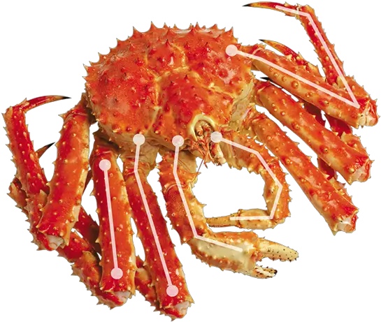  Learn More About King Crab Cancer Png Crab Legs Png