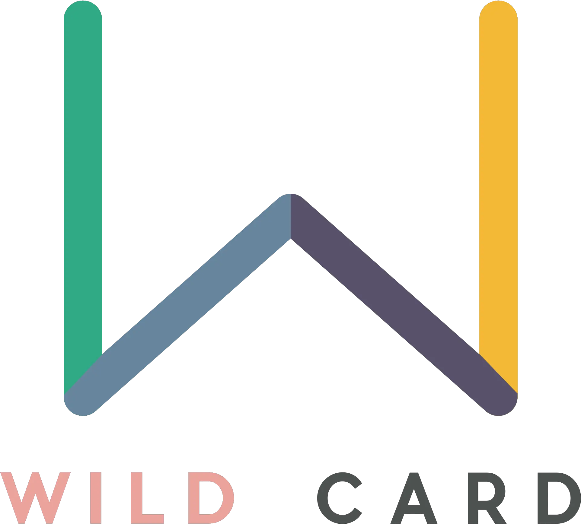  Download Wild Card Offers Flexible Sign Png Card Suit Png