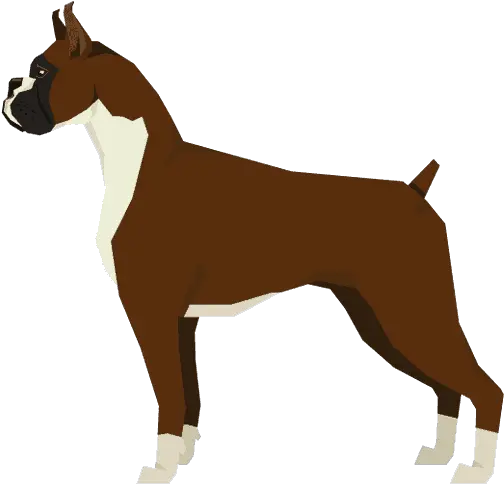  Lumps And Bumps Identifying And Treatments Png Boxer Dog Icon