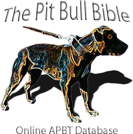  The Pit Bull Bible Online Apbt Database Pitbull Bible Png Pit Bull Logo