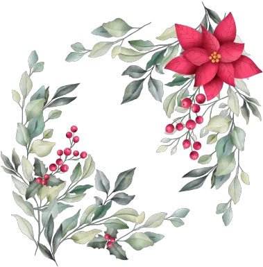  Pin Food Png Poinsettia Transparent Background