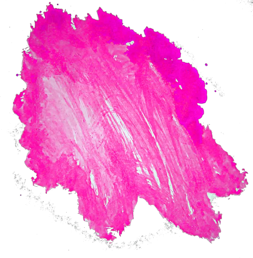  Stain Png Pink Oil Paint Swatch Stain Png