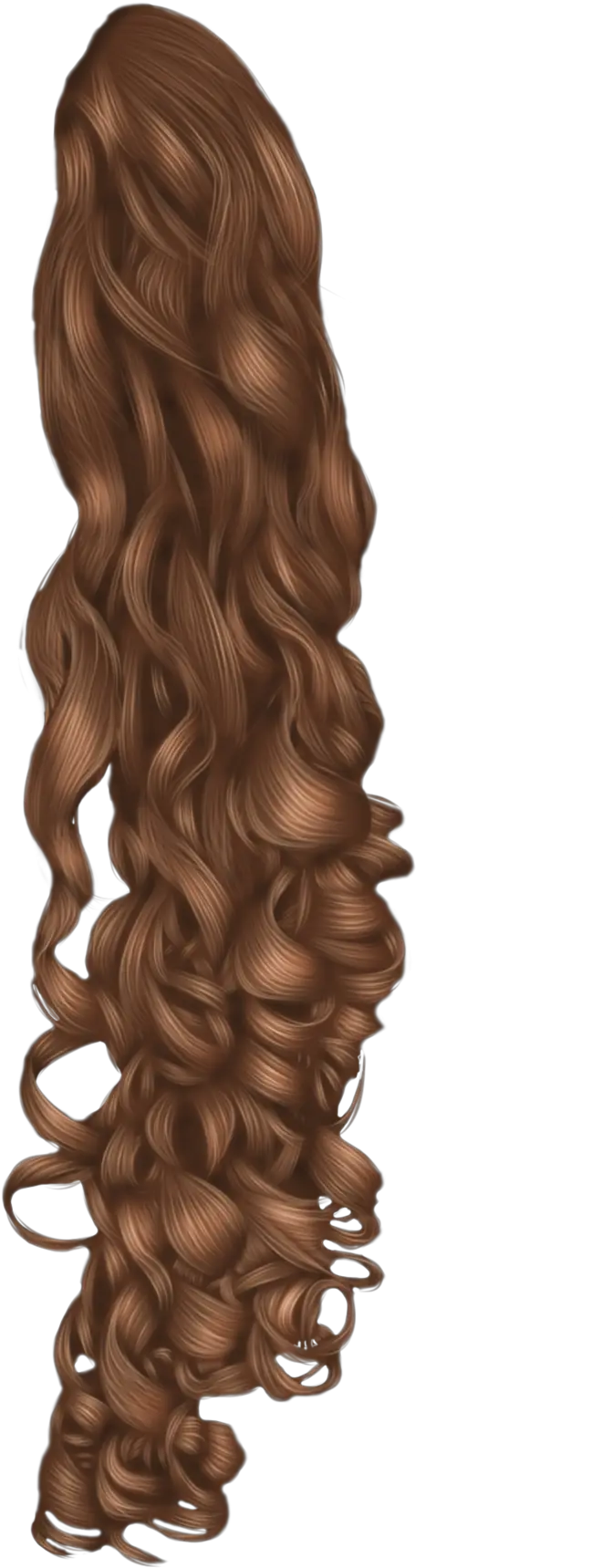  Black Hair Wig Hairstyle Long Curly Hair Png Curly Hair Png