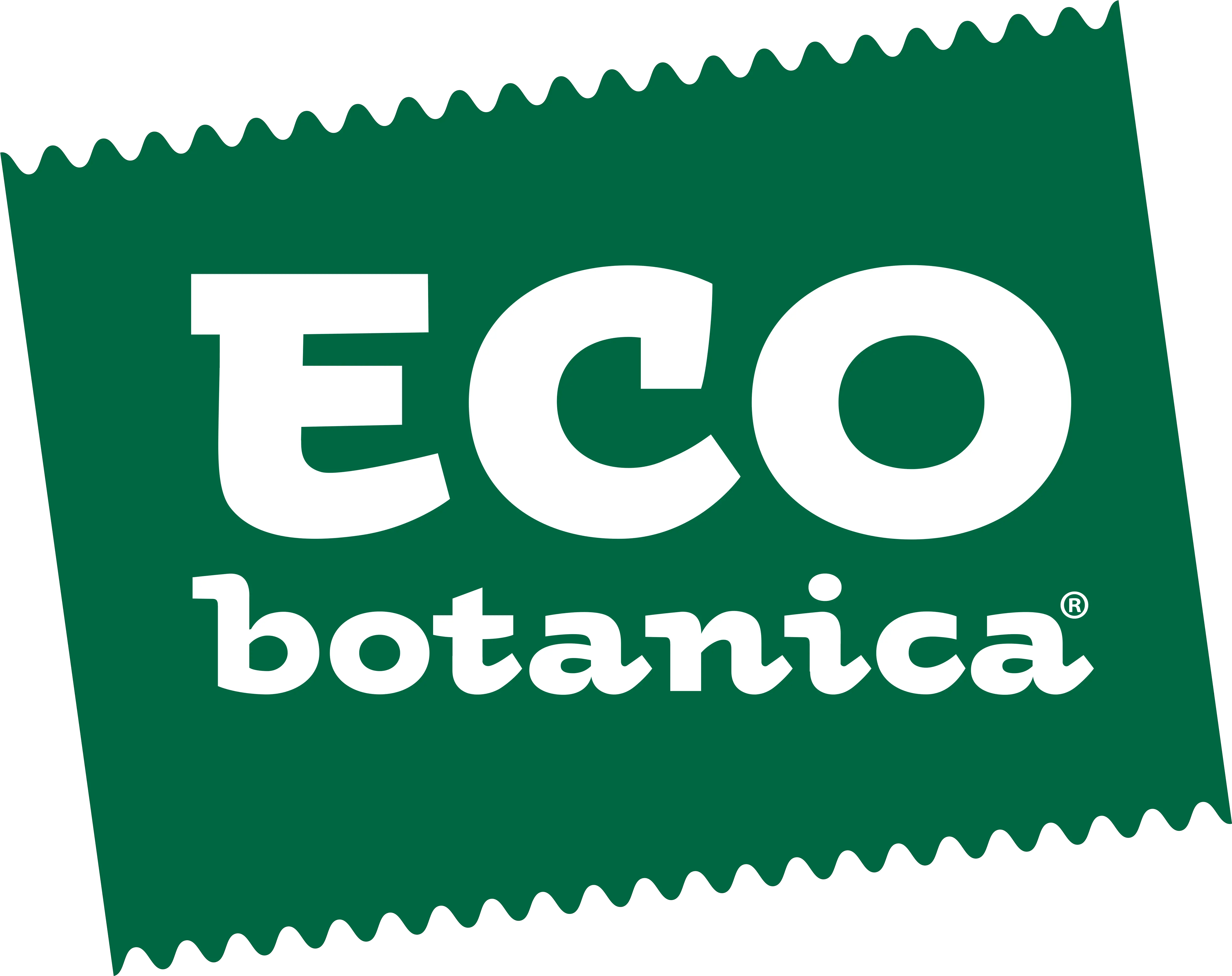  Eco Eco Botanica Png Eco Logo