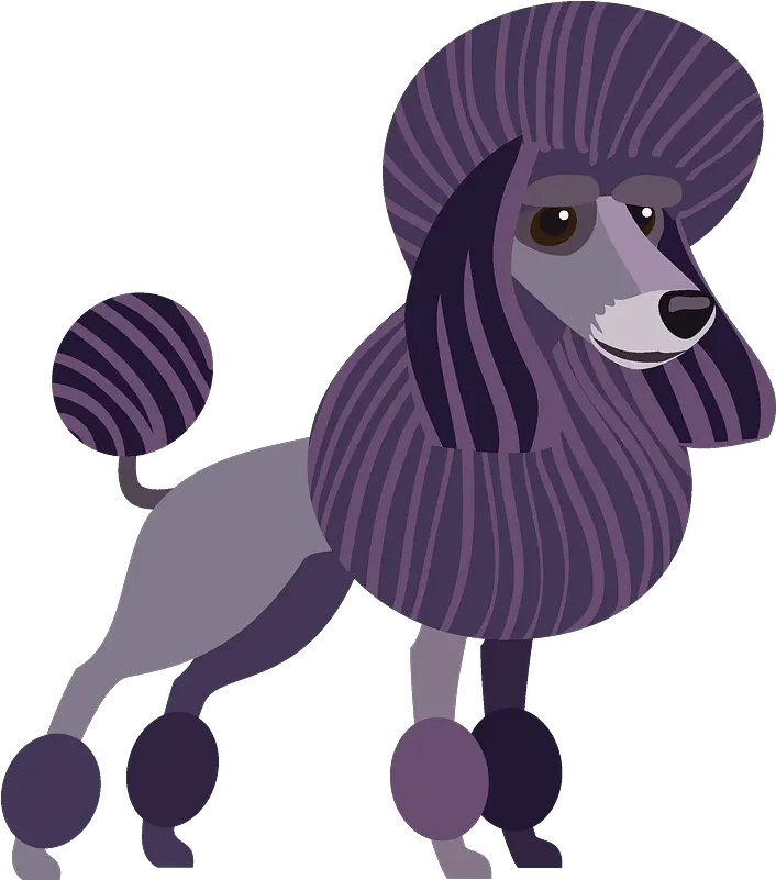  Poodle Dog Clipart Miniature Poodle Png Poodle Png