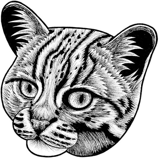  Rusty Spotted Cat Face Mask For Sale Domestic Cat Png Cat Face Transparent