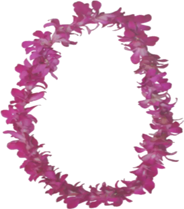  Hawaii Lei Lamar Jackson With Shades Png Lei Png