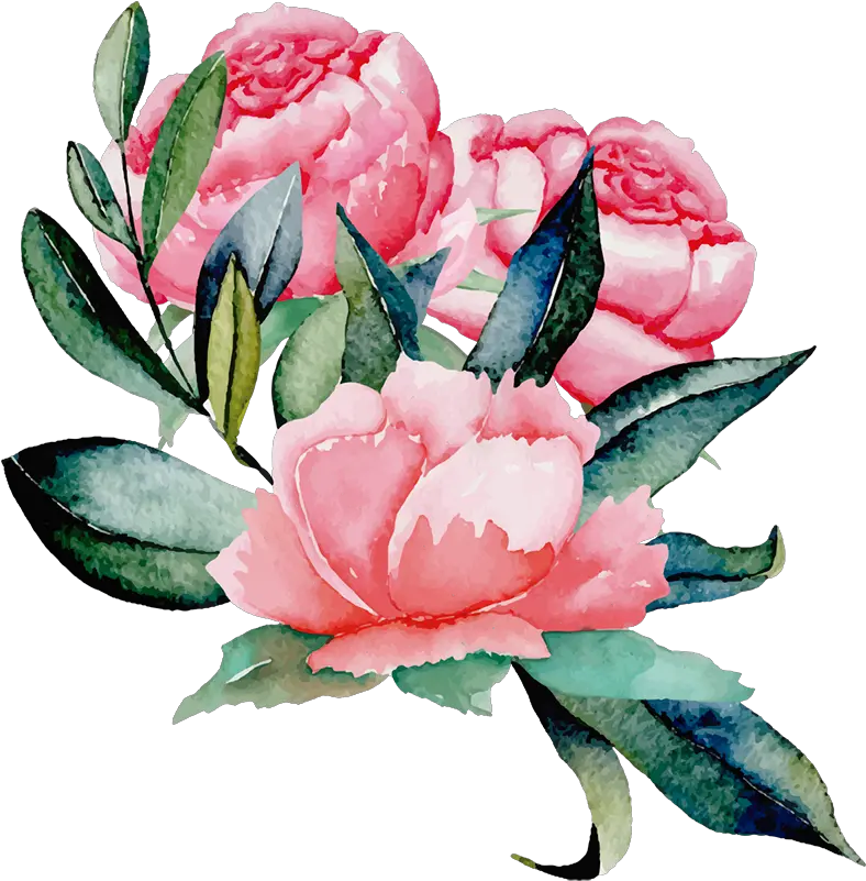  Peonies Floral Wall Sticker Tenstickers Illustrations Peonies Png Peonies Png