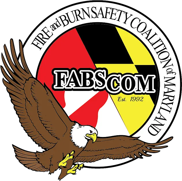  Falcon Clipart Golden Hawk Bald Eagle Png Hawk Png