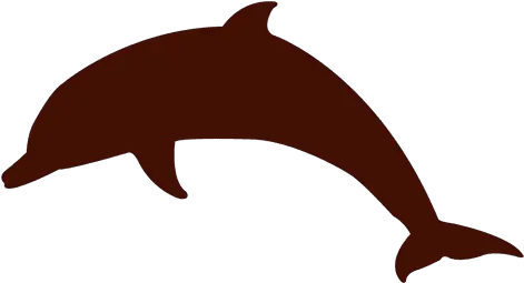  Transparent Png Svg Vector File Dolphin Jumping Sun Dolphins Png