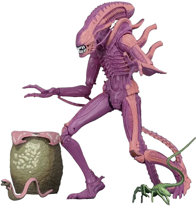  Download Xenomorph Warrior Arcade Alien Warrior Arcade Neca Png Xenomorph Png