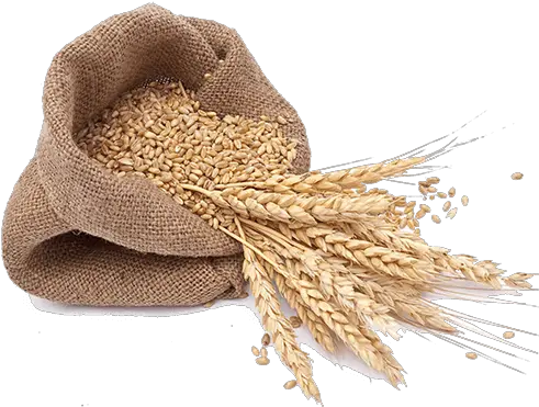  Download Local Wheat Flour Milled Grains Png Grain Png