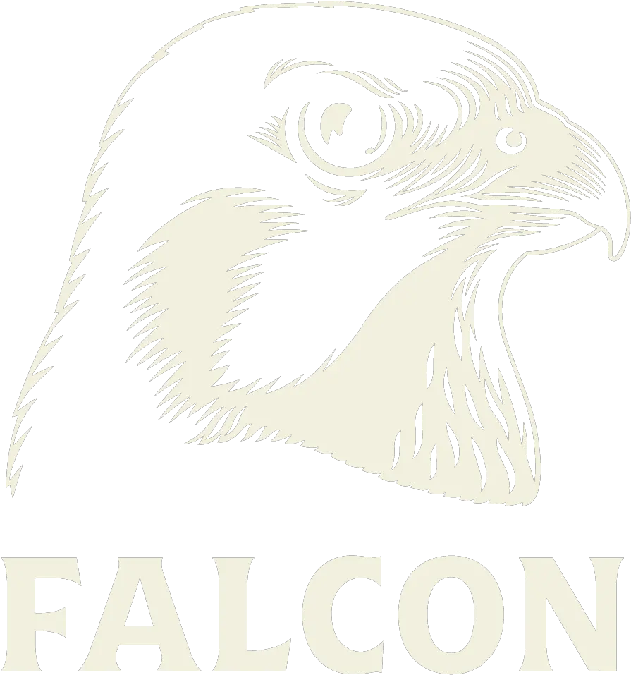  Download Hd 1 Falcon Logo Hawk Transparent Png Image Falcon Öl Logo Hawk Png