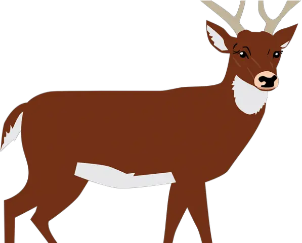  Transparent Deer Clipart Brown Deer Clipart Png Deer Transparent