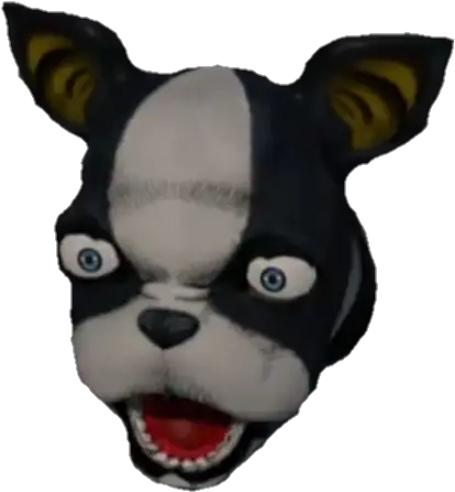  Boston Terrier Png Pogchamp Emote