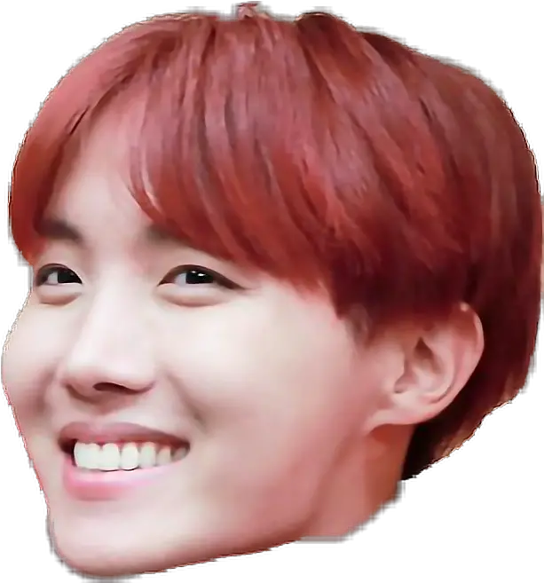  Bts Jhope Hoseok Btsdna Remixit Sticker By Poppy Hair Design Png Jhope Transparent