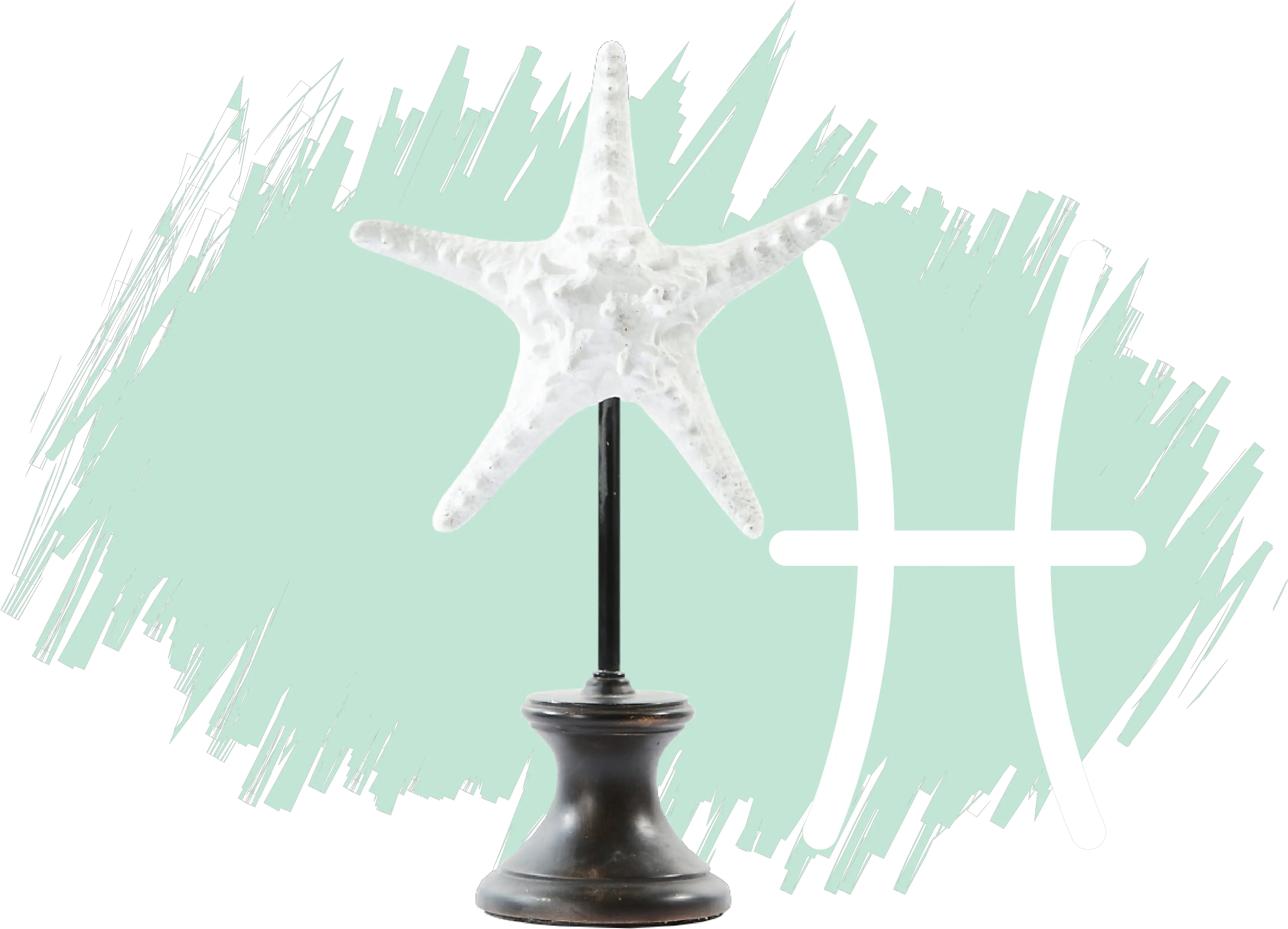  Pisces City Furniture Blog Starfish Png Pisces Png