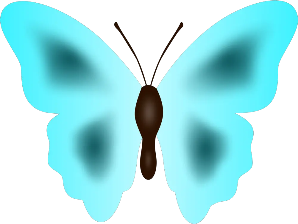  Butterflysymmetrymoth Png Clipart Royalty Free Svg Png Butterflies Moth Png