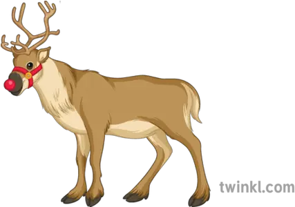  Christmas Reindeer Illustration Animal Figure Png Christmas Reindeer Png