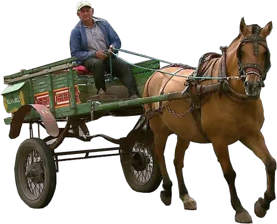  Carriage Png Horse And Carriage Png Wagon Png