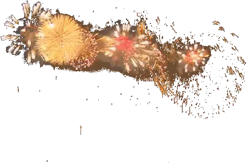  Animated Gif For Avid And Pinnacle Studio Transparent Gun Shot Gif Png Explosion Gif Transparent Background