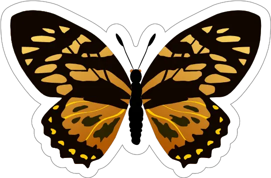  Gold And Black Butterfly Sticker Gold And Black Butterfly Png Gold Butterfly Png