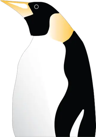  Home Penguin Shipping King Penguin Png Penguin Png