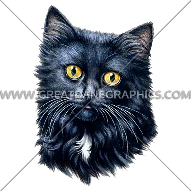  Black Cat Face Production Ready Artwork For T Shirt Printing Black Cat Png Black Cat Transparent